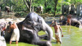 /album/fotogaleria-lakadivy-zajazd/lakadivy-zajazd-india-jamajkanita-1-jpeg/